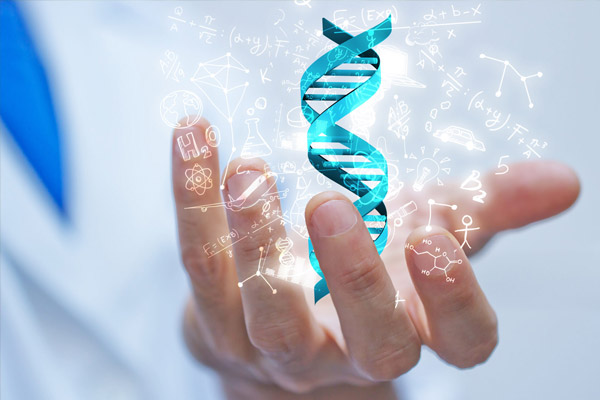 atelier-adn-neandertal_600x400 atelier scolaire préhistoire parures Neandertal corrèze lot