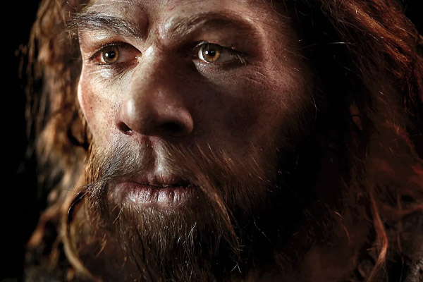 atelier-moi-neandertal_600x400 atelier scolaire préhistoire Neandertal corrèze lot