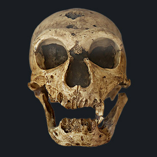 crane neandertal correze
