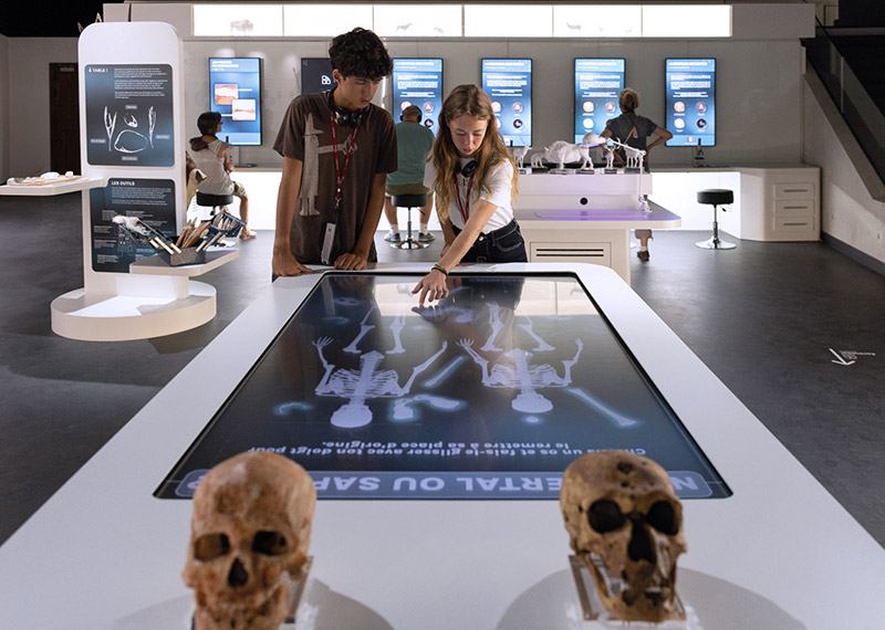 laboratoire neanderthal