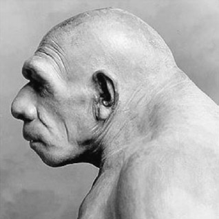 neandertal marcellin boule