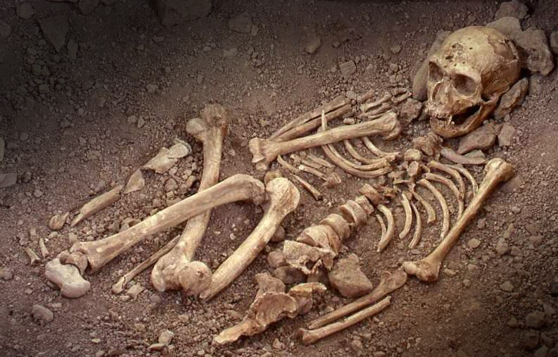 squelette neandertal correze