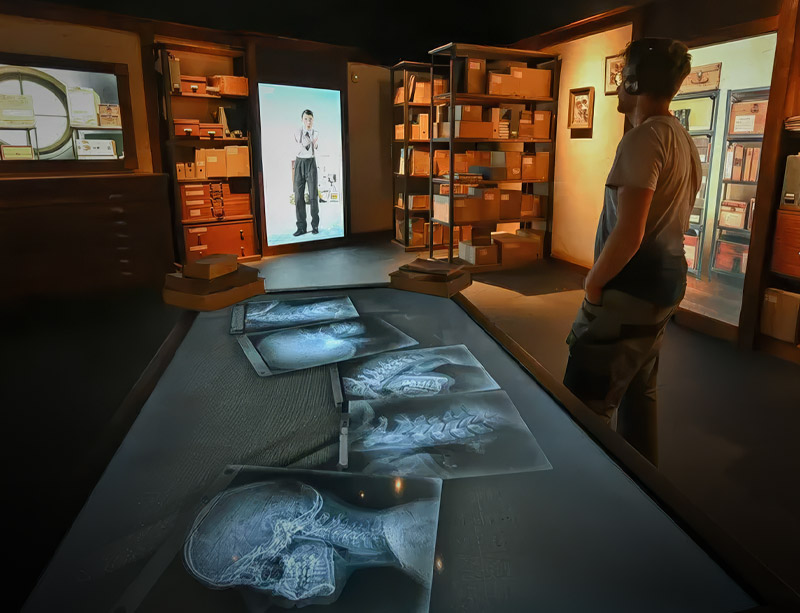 neandertal musée corrèze lot